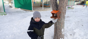 «Синичкин день» «Синичкин день».