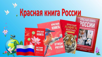 "Путешествие по страницам Красная Книга России" "Путешествие по страницам Красная Книга России".