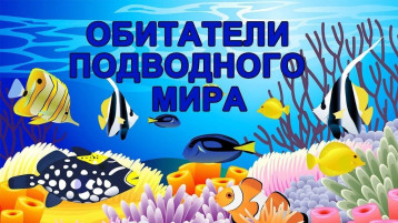 «Подводный мир морей и океанов» «Подводный мир морей и океанов».