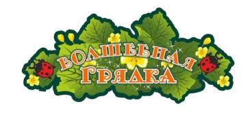 «Волшебная грядка» «Волшебная грядка».