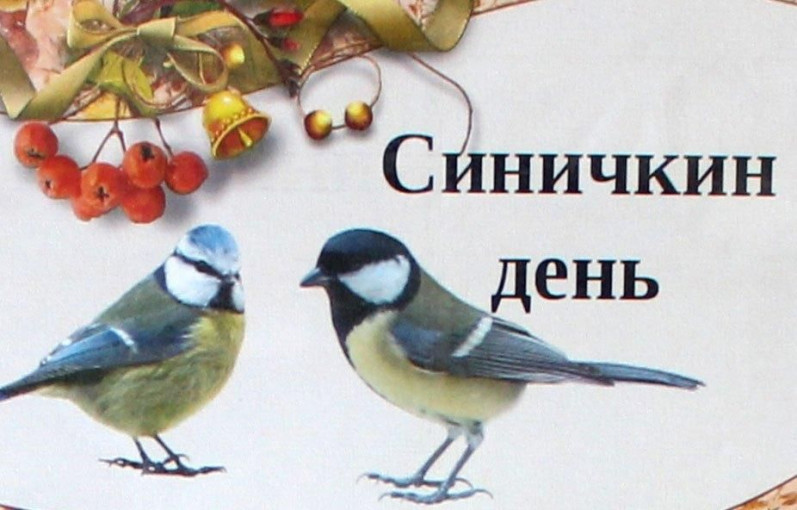 к Дню синички! к Дню синички!.